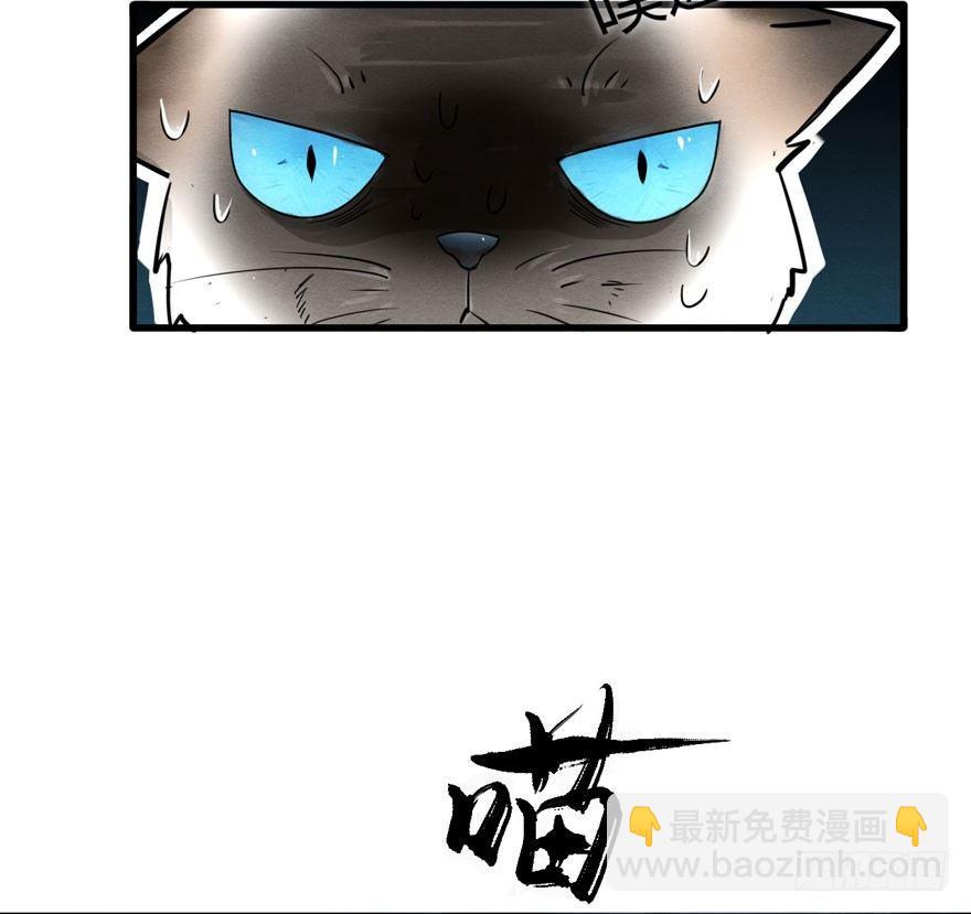《梦塔之魇魂师》为抢男主，黑脸猫竟出口成（）？ 第37页
