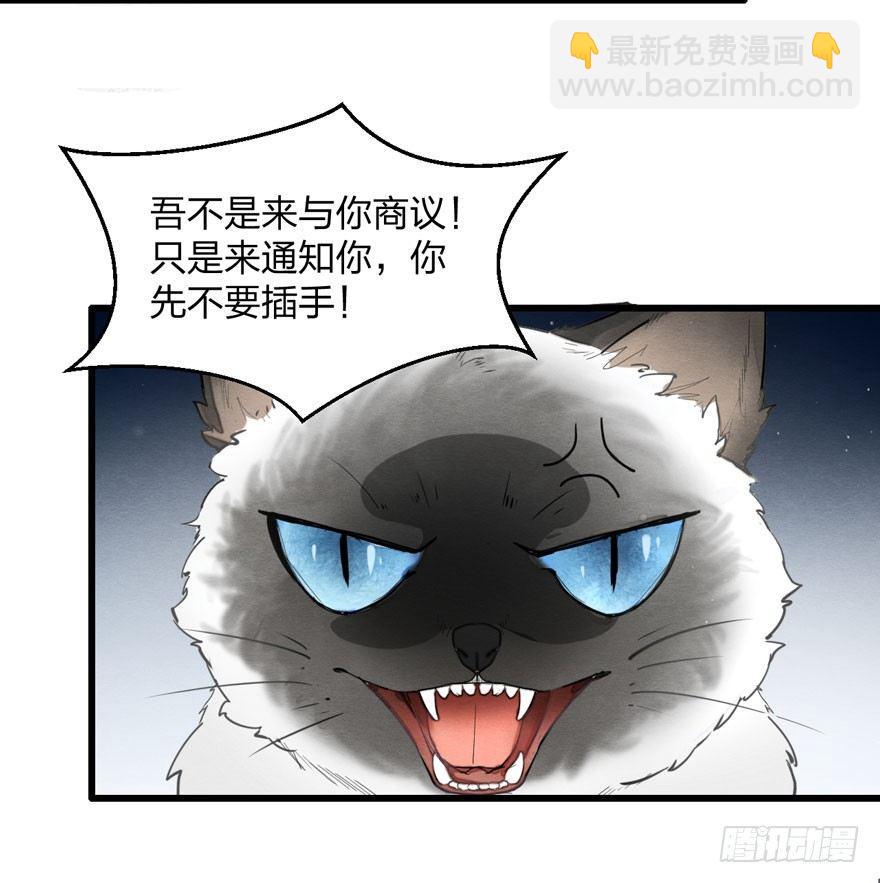 《梦塔之魇魂师》为抢男主，黑脸猫竟出口成（）？ 第24页