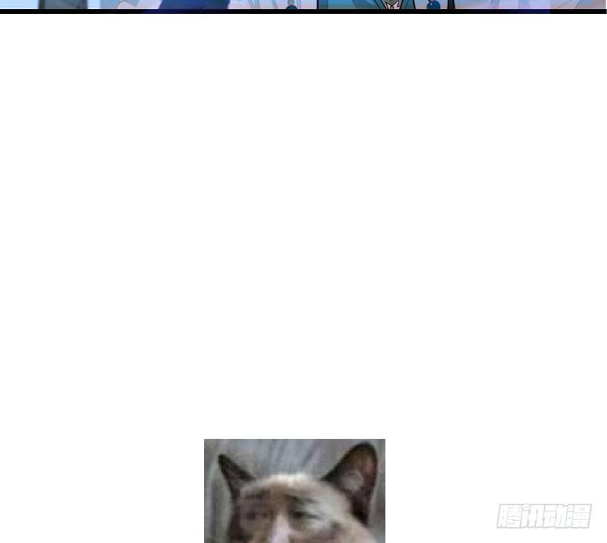 《梦塔之魇魂师》震惊！梦界逗猫神器竟然是？ 第36页