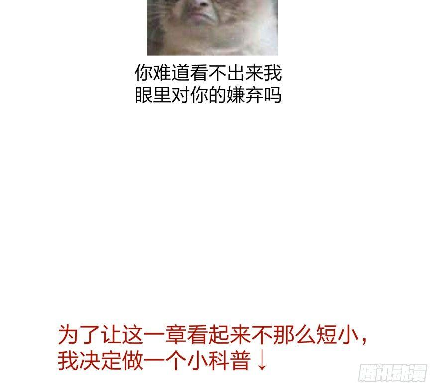 《梦塔之魇魂师》震惊！梦界逗猫神器竟然是？ 第37页