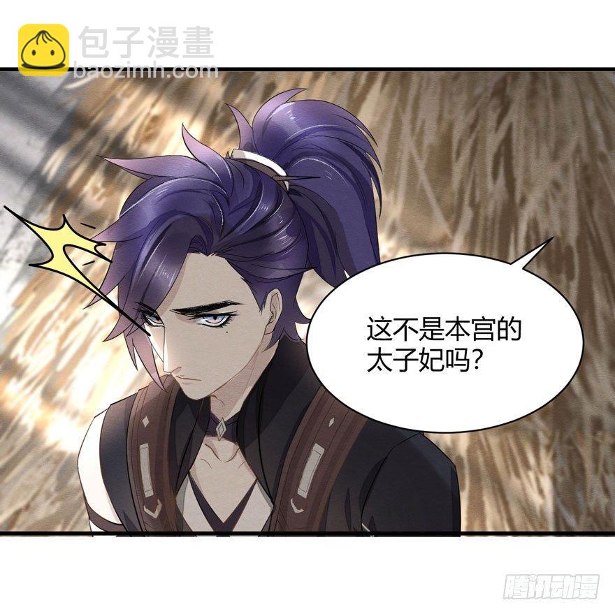 《梦塔之魇魂师》太子与太子妃重逢！ 第37页
