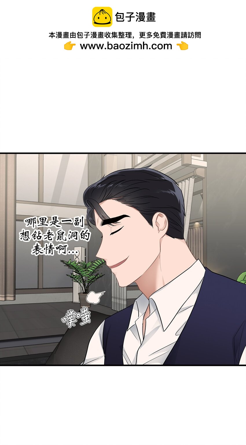 《星期天的抚慰》20 报恩的喜鹊 第48页
