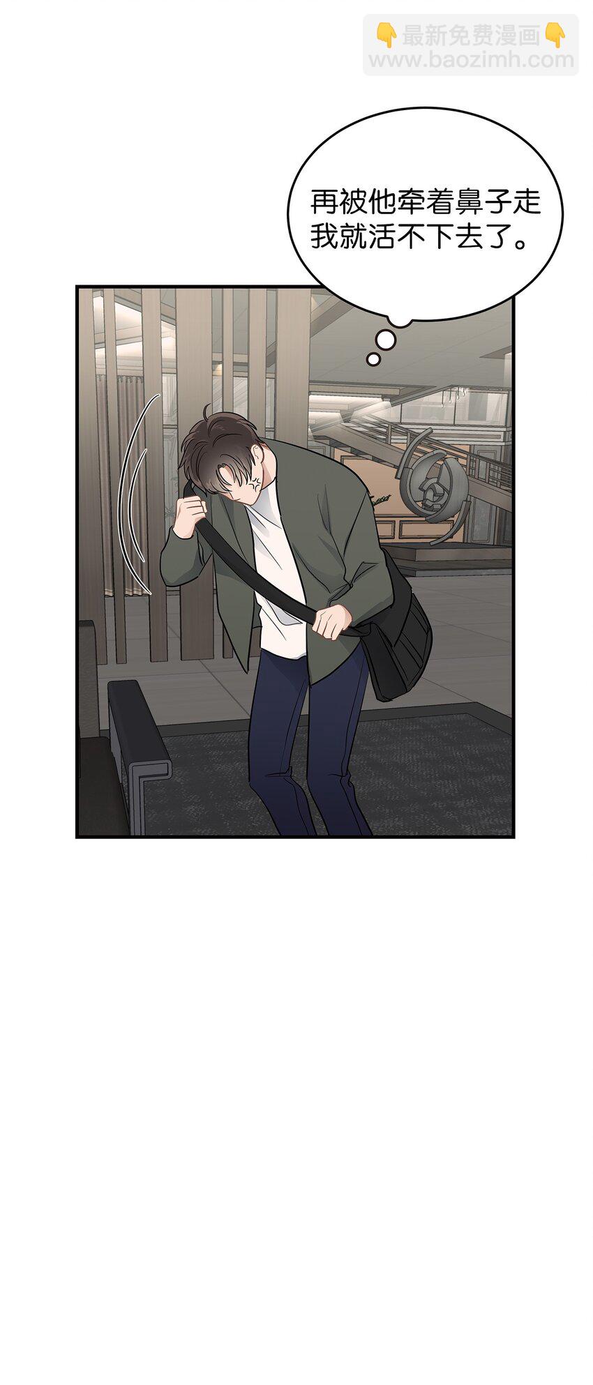 《星期天的抚慰》20 报恩的喜鹊 第49页