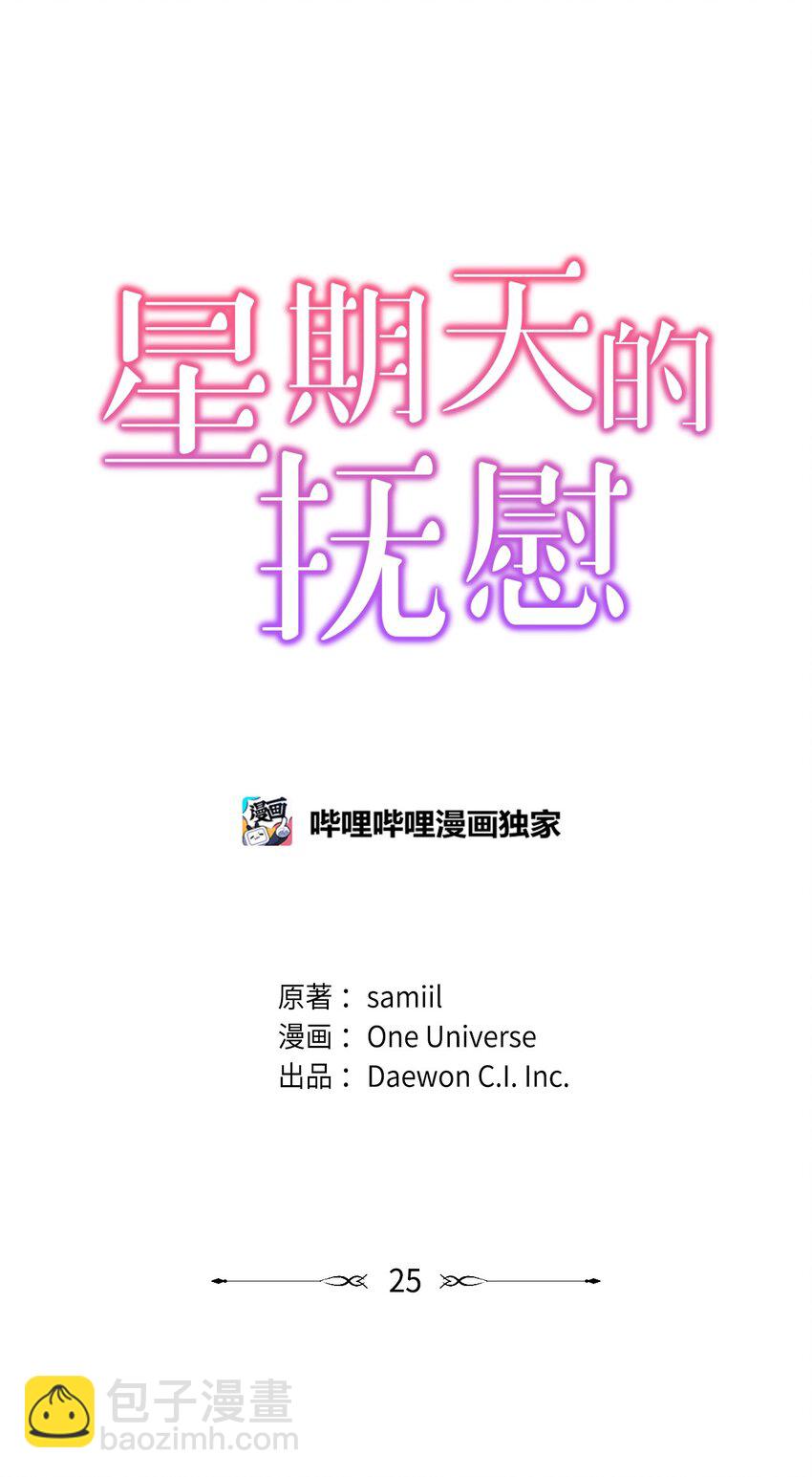 《星期天的抚慰》25 从未怀疑 第10页