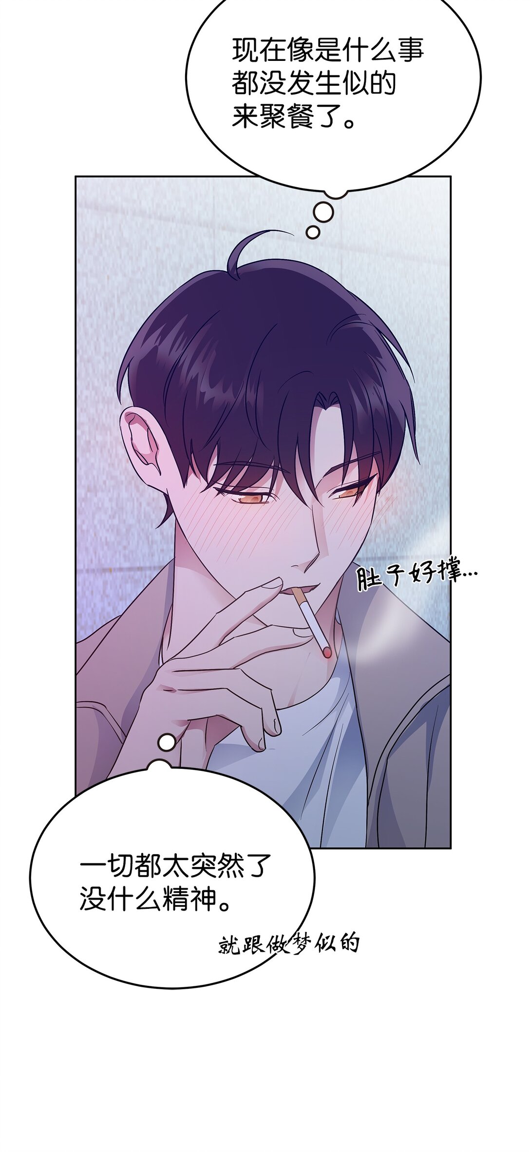 《星期天的抚慰》40 难忘的生日 第31页