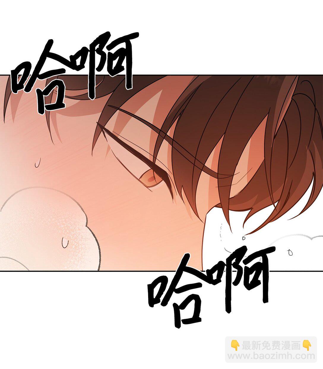 《星期天的抚慰》40 难忘的生日 第11页
