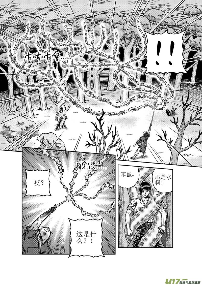 《五行指环》第二十九章 五雷法 第11页