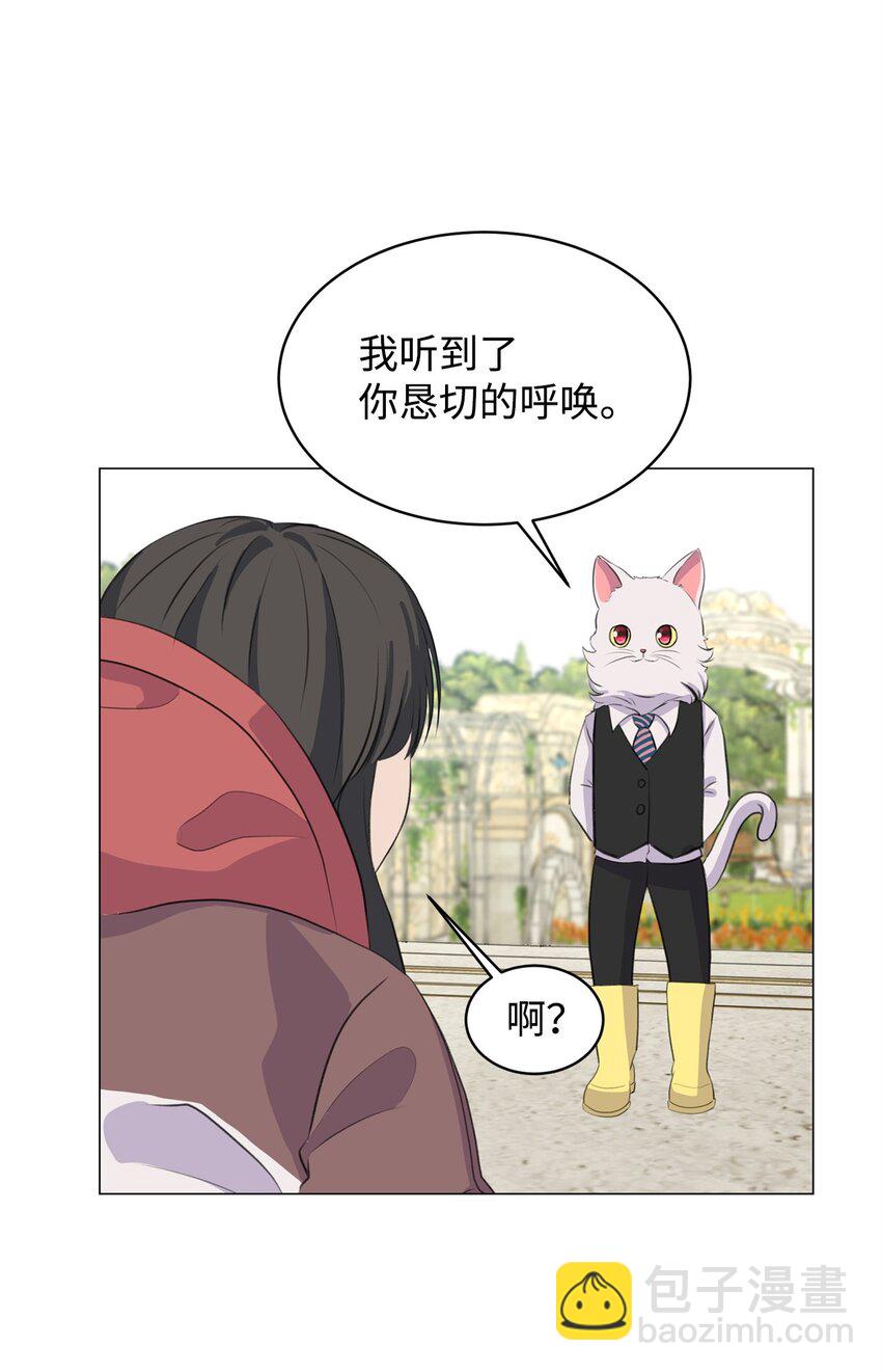 《做我的铲屎官吧!》02 虐猫变态 第20页