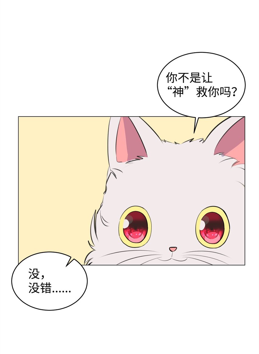 《做我的铲屎官吧!》02 虐猫变态 第21页