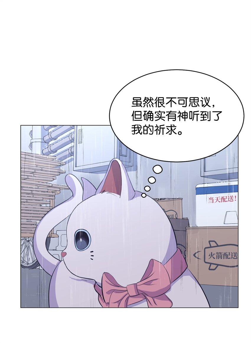 《做我的铲屎官吧!》02 虐猫变态 第23页