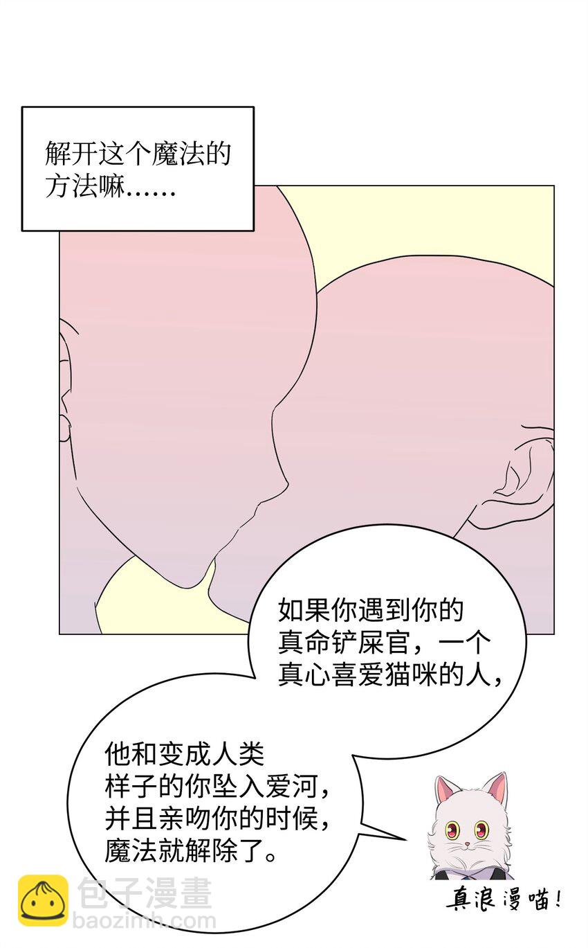 《做我的铲屎官吧!》02 虐猫变态 第25页