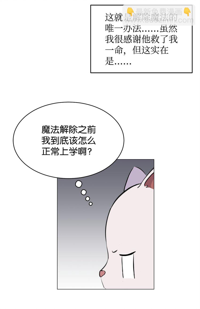 《做我的铲屎官吧!》02 虐猫变态 第26页