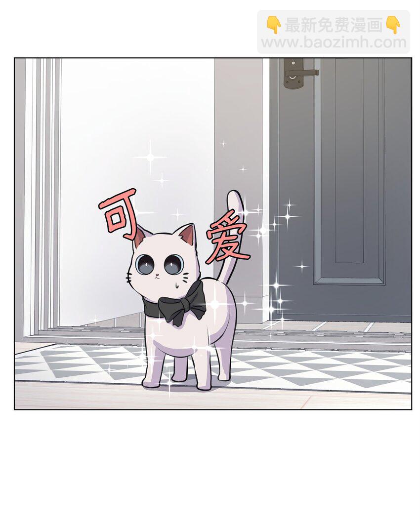 《做我的铲屎官吧!》02 虐猫变态 第32页