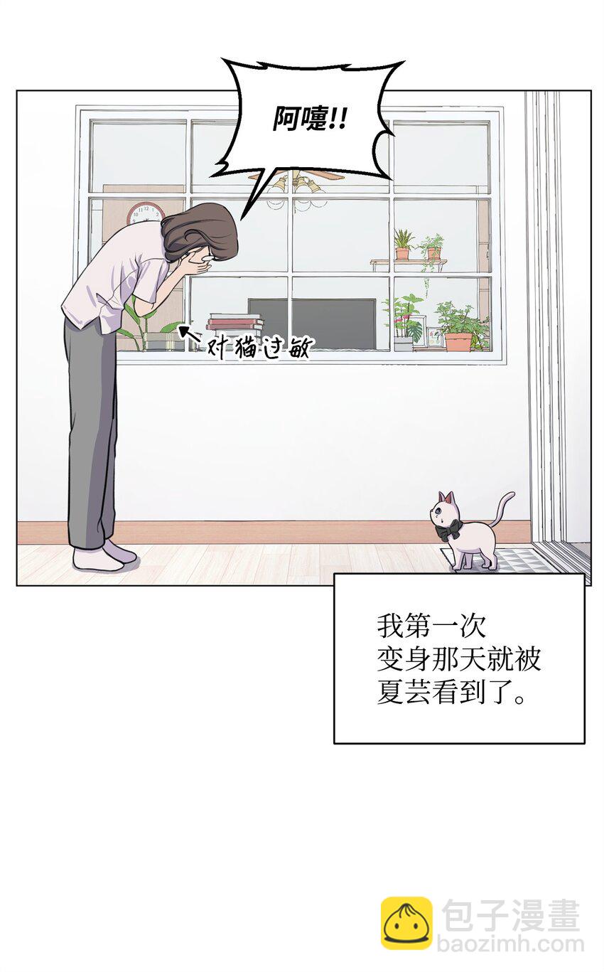 《做我的铲屎官吧!》02 虐猫变态 第34页