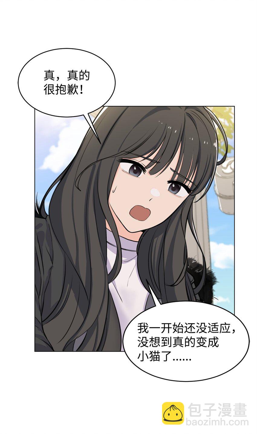 《做我的铲屎官吧!》02 虐猫变态 第36页