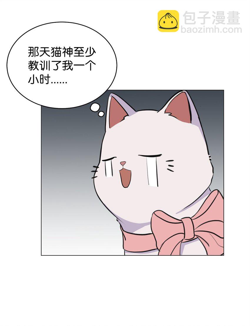 《做我的铲屎官吧!》02 虐猫变态 第38页
