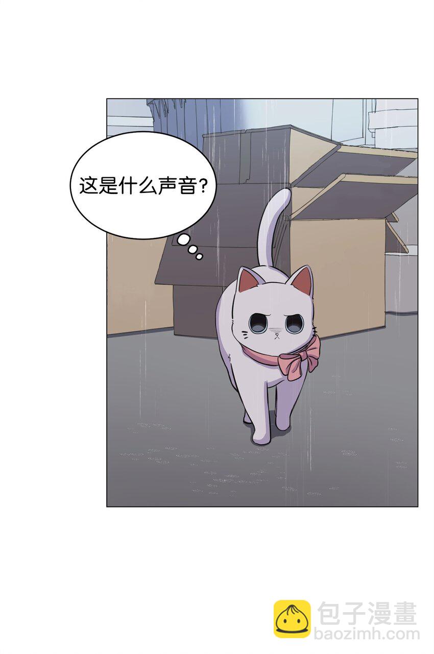 《做我的铲屎官吧!》02 虐猫变态 第41页