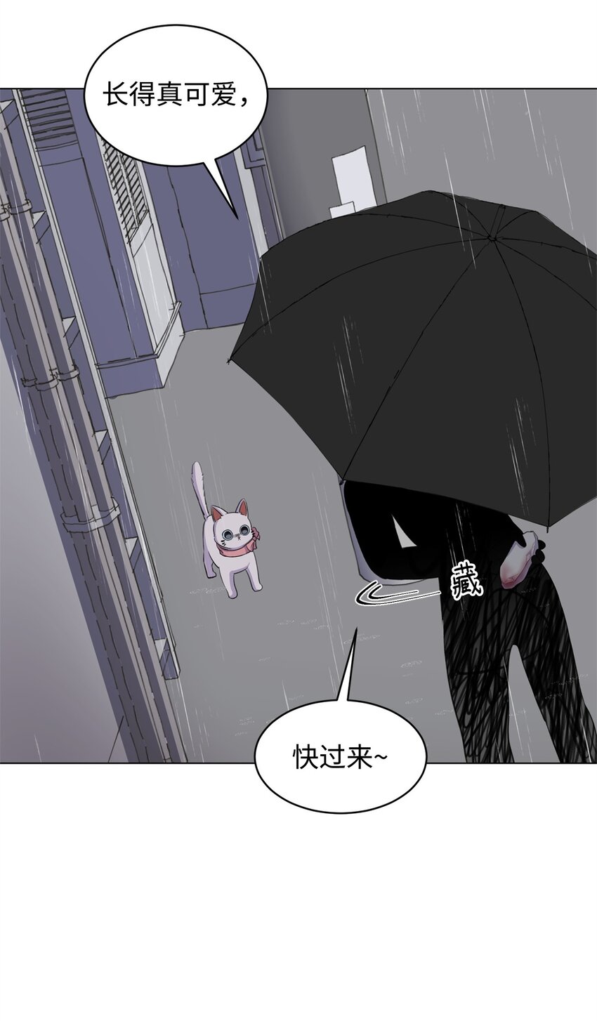 《做我的铲屎官吧!》02 虐猫变态 第46页