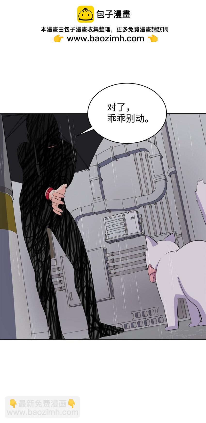 《做我的铲屎官吧!》02 虐猫变态 第49页