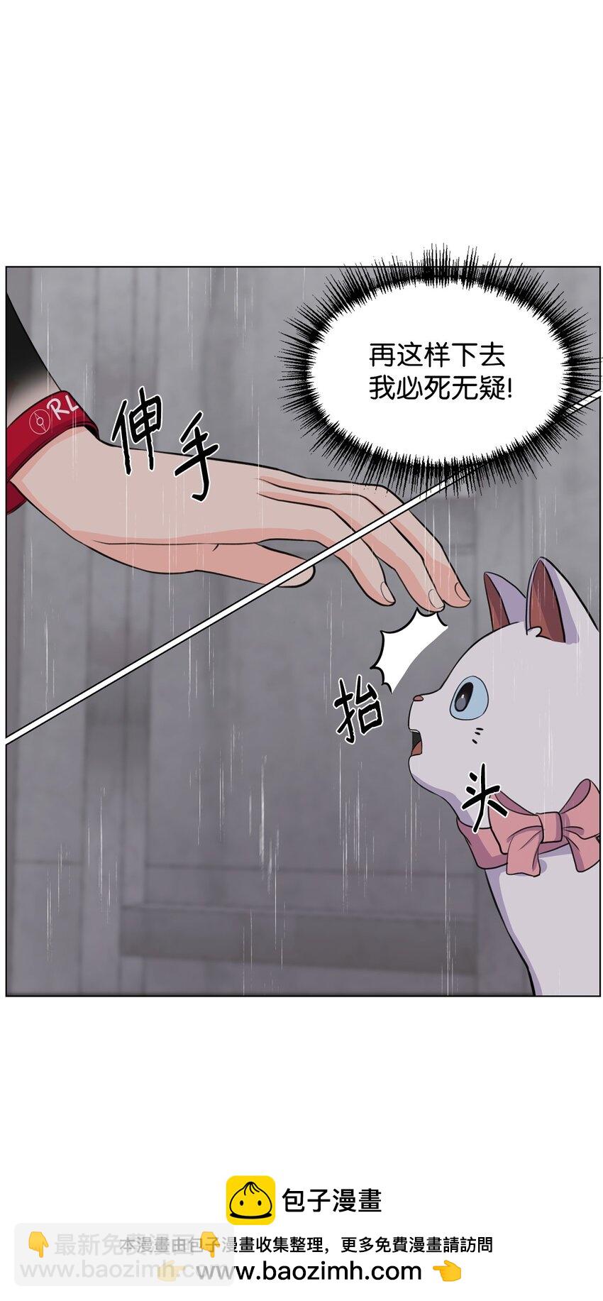 《做我的铲屎官吧!》02 虐猫变态 第50页