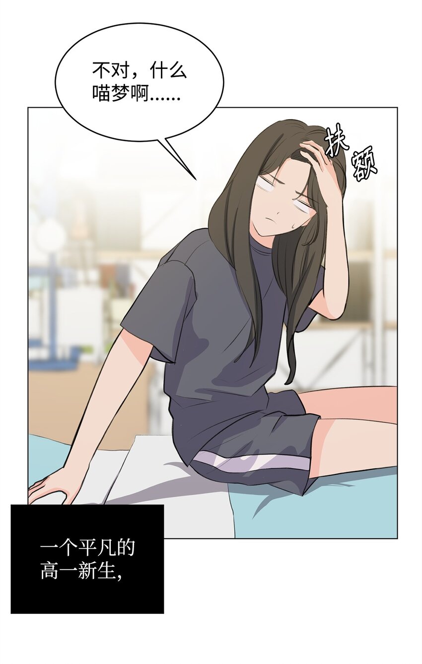 《做我的铲屎官吧!》01 雨天变身 第19页
