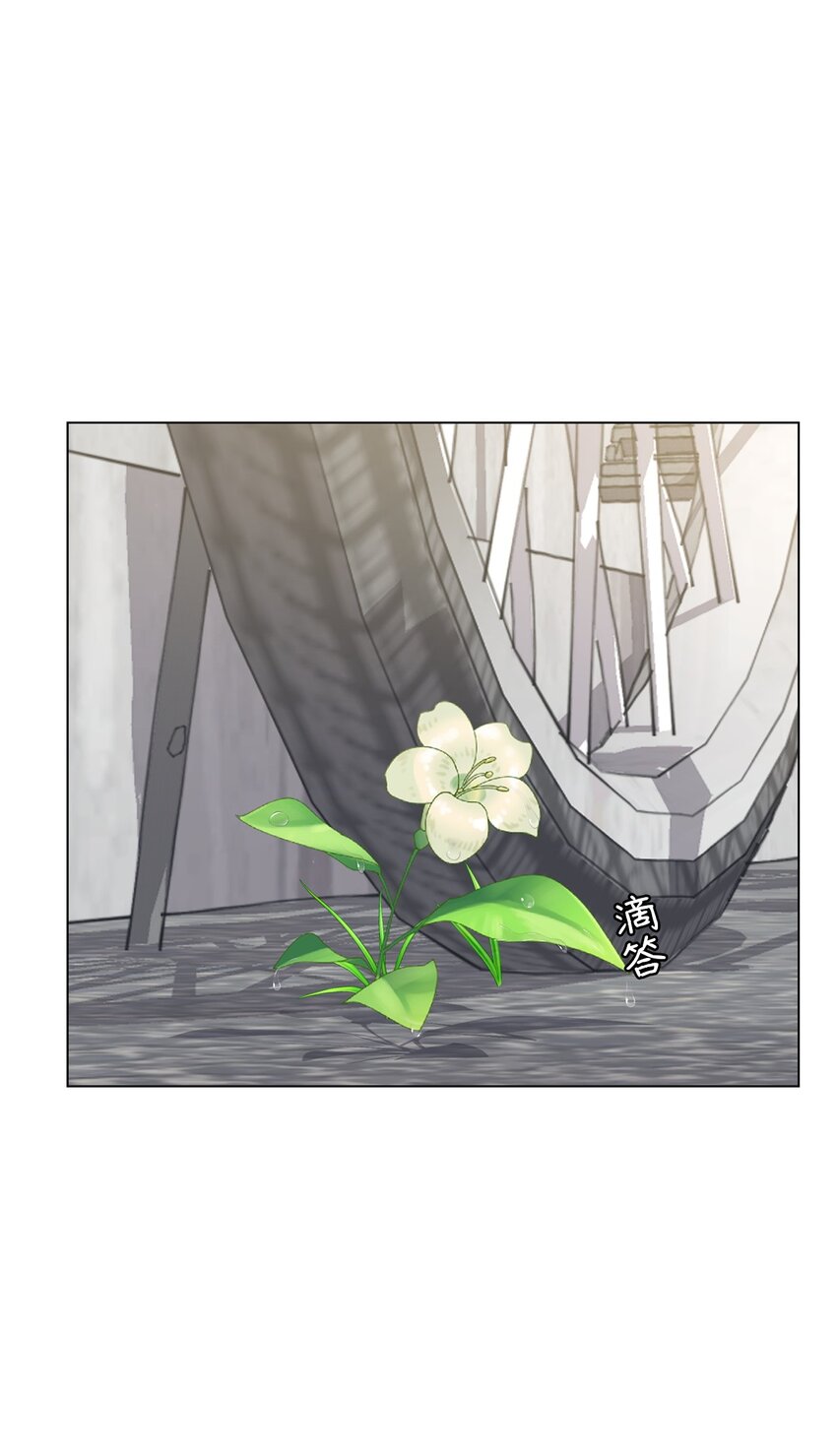 《做我的铲屎官吧!》07 喵喵精灵 第37页