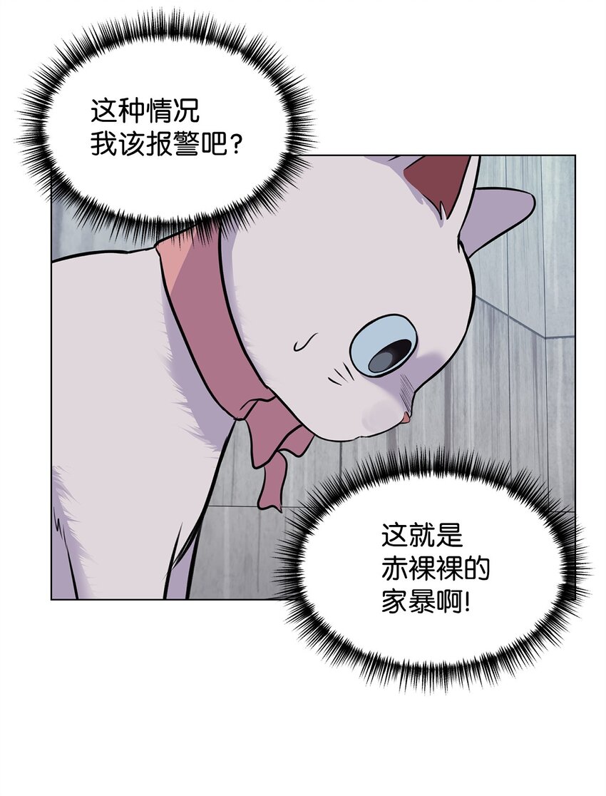 《做我的铲屎官吧!》07 喵喵精灵 第3页