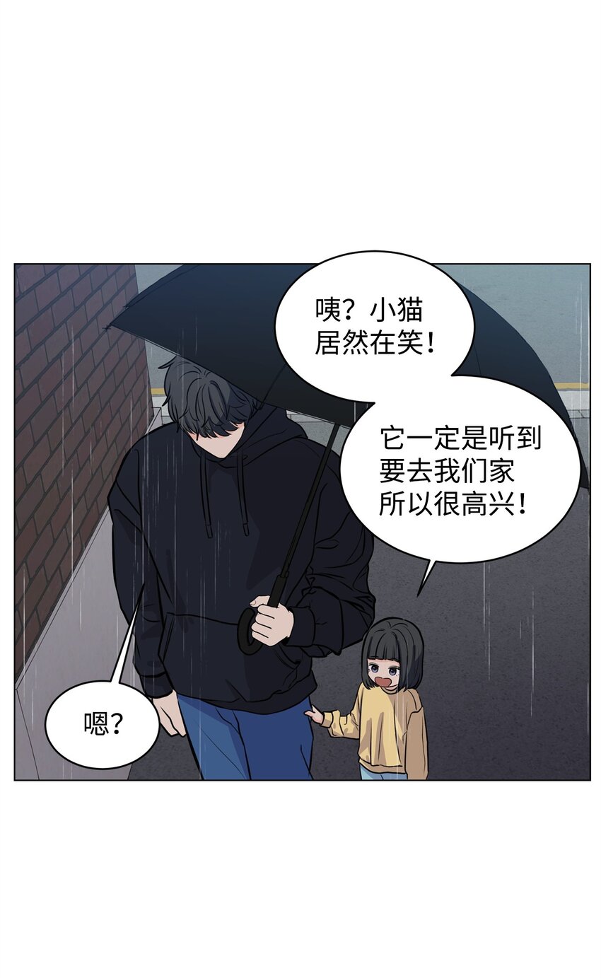 《做我的铲屎官吧!》06 受伤的真相 第10页