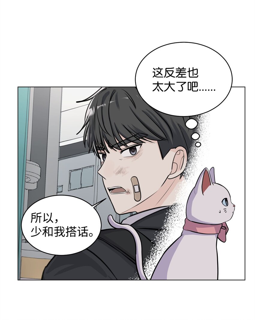 《做我的铲屎官吧!》06 受伤的真相 第12页