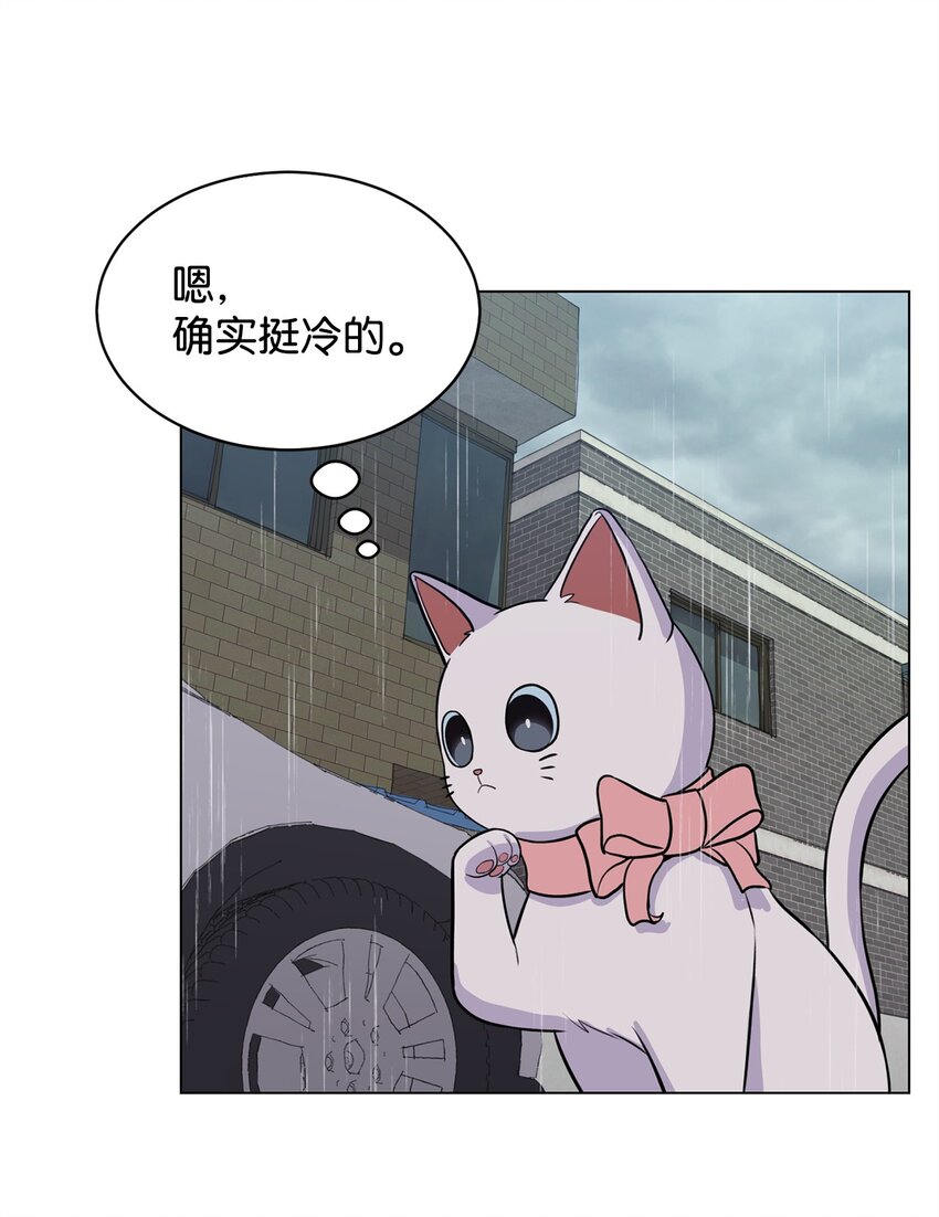 《做我的铲屎官吧!》06 受伤的真相 第14页