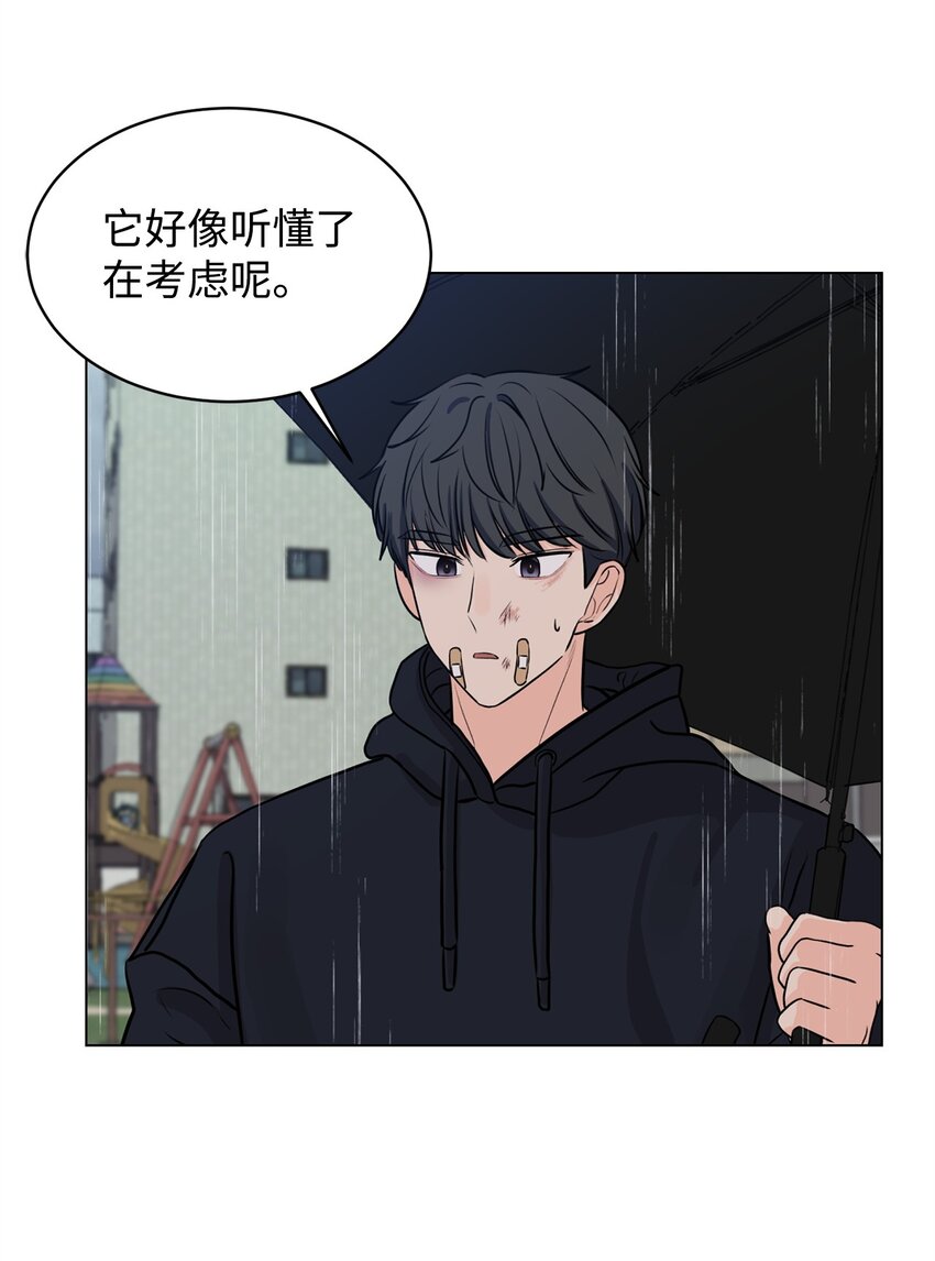 《做我的铲屎官吧!》06 受伤的真相 第15页