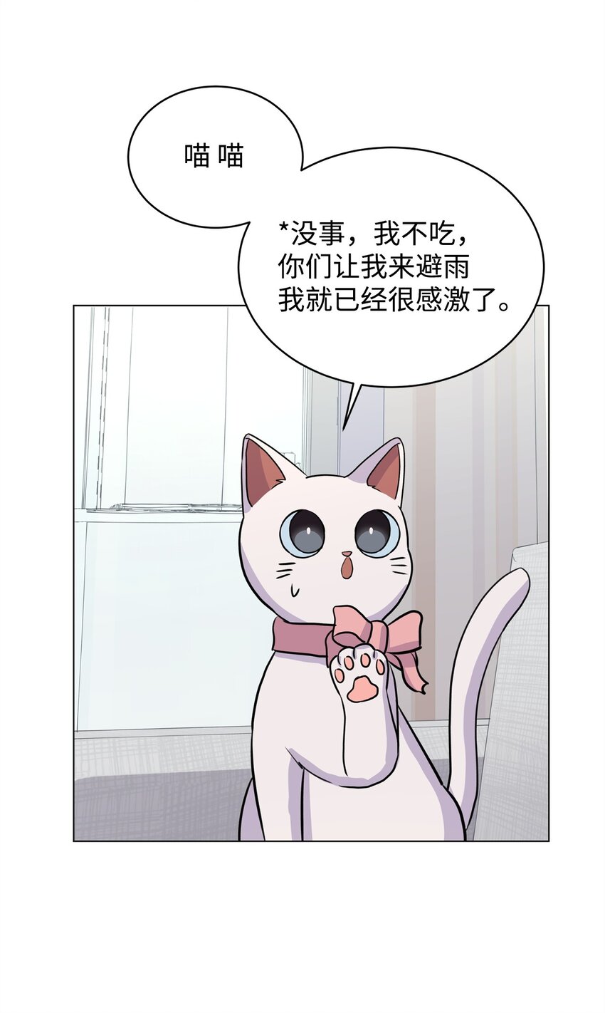 《做我的铲屎官吧!》06 受伤的真相 第25页