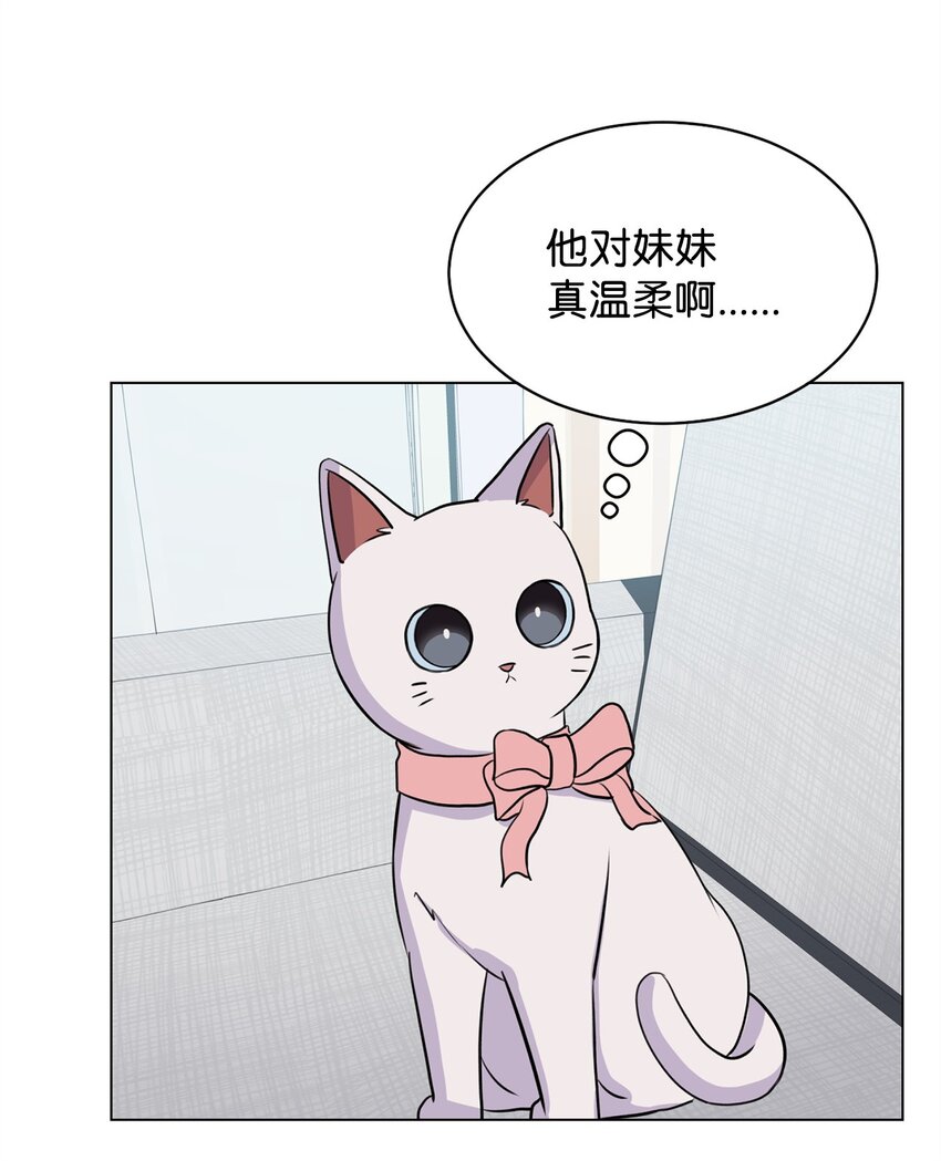 《做我的铲屎官吧!》06 受伤的真相 第33页