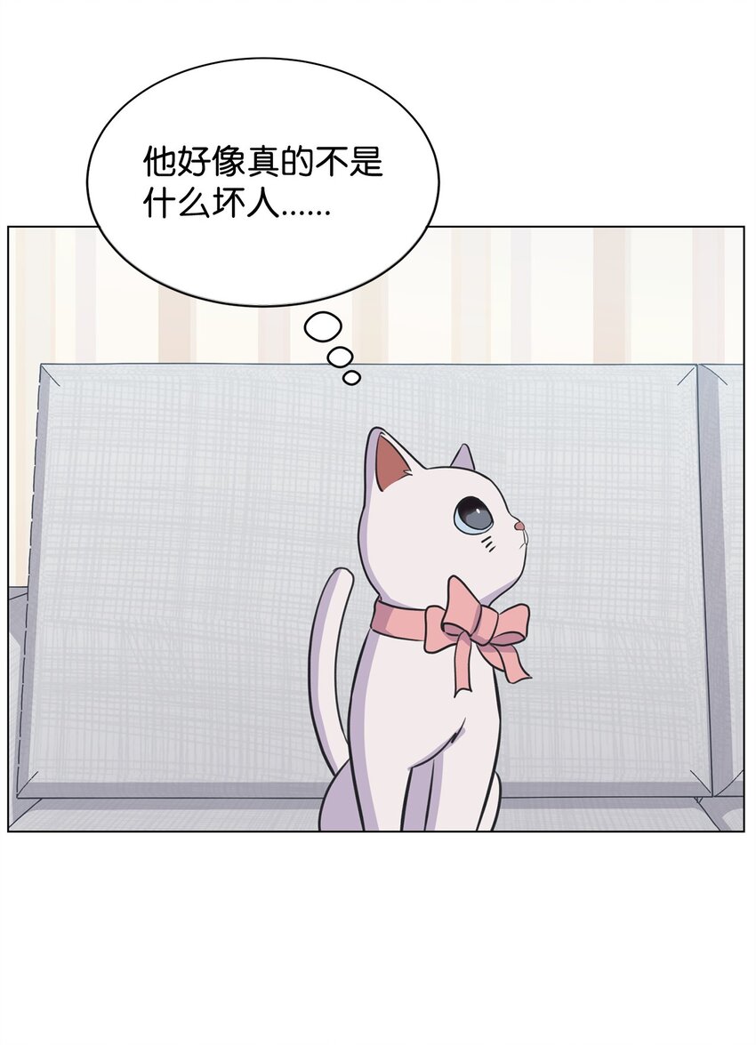 《做我的铲屎官吧!》06 受伤的真相 第38页
