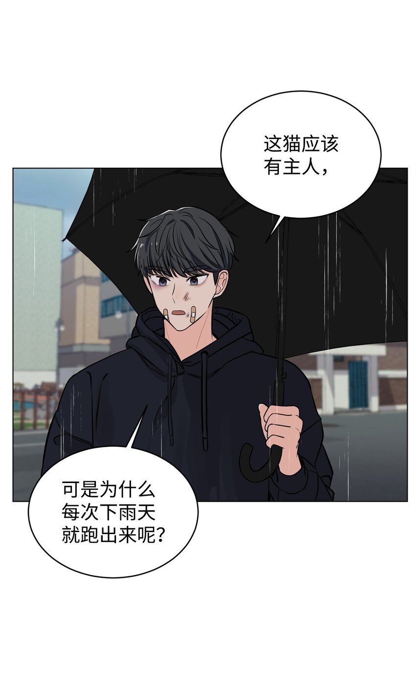 《做我的铲屎官吧!》06 受伤的真相 第5页