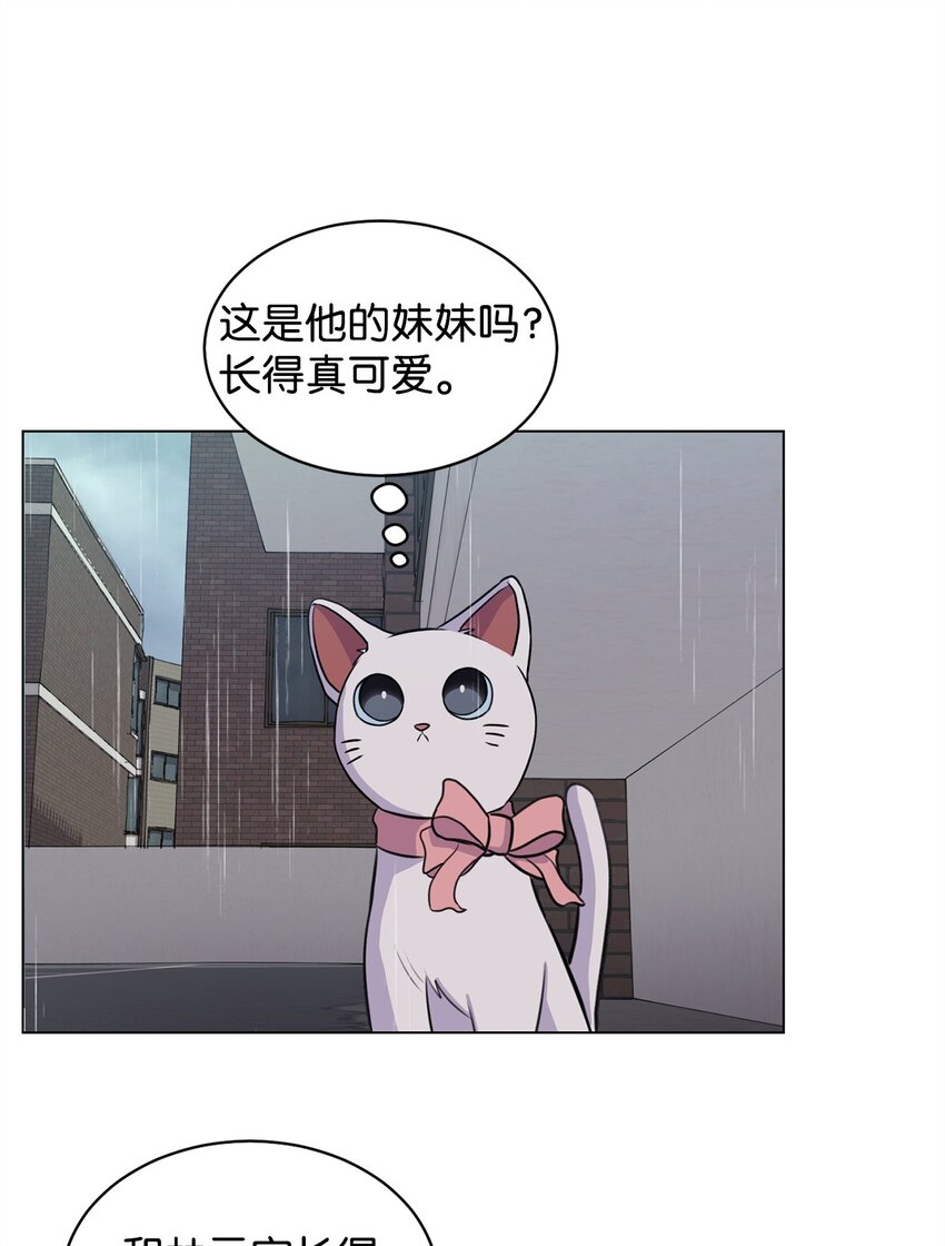 《做我的铲屎官吧!》06 受伤的真相 第8页