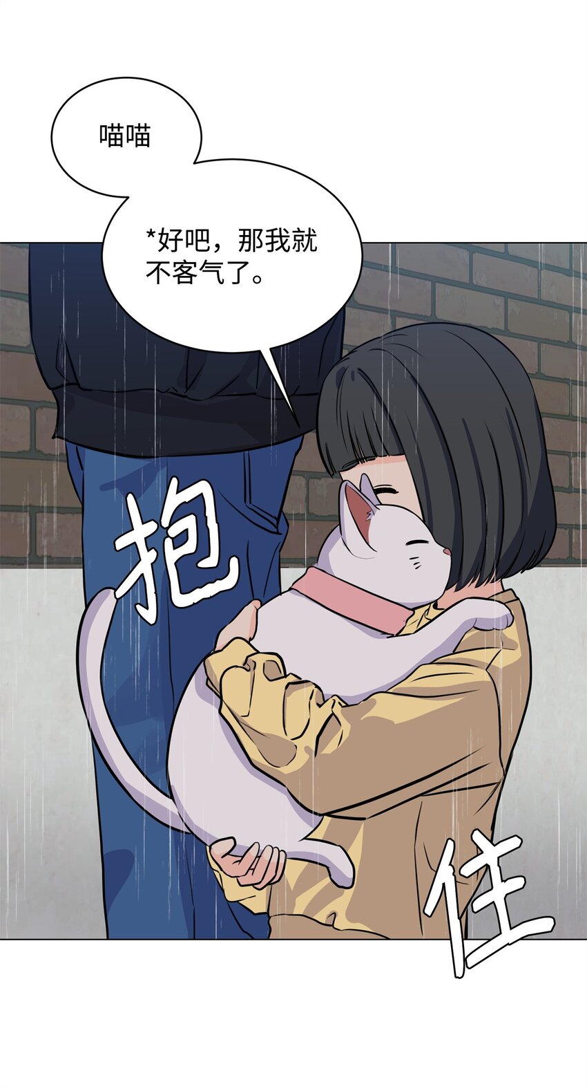 《做我的铲屎官吧!》06 受伤的真相 第17页