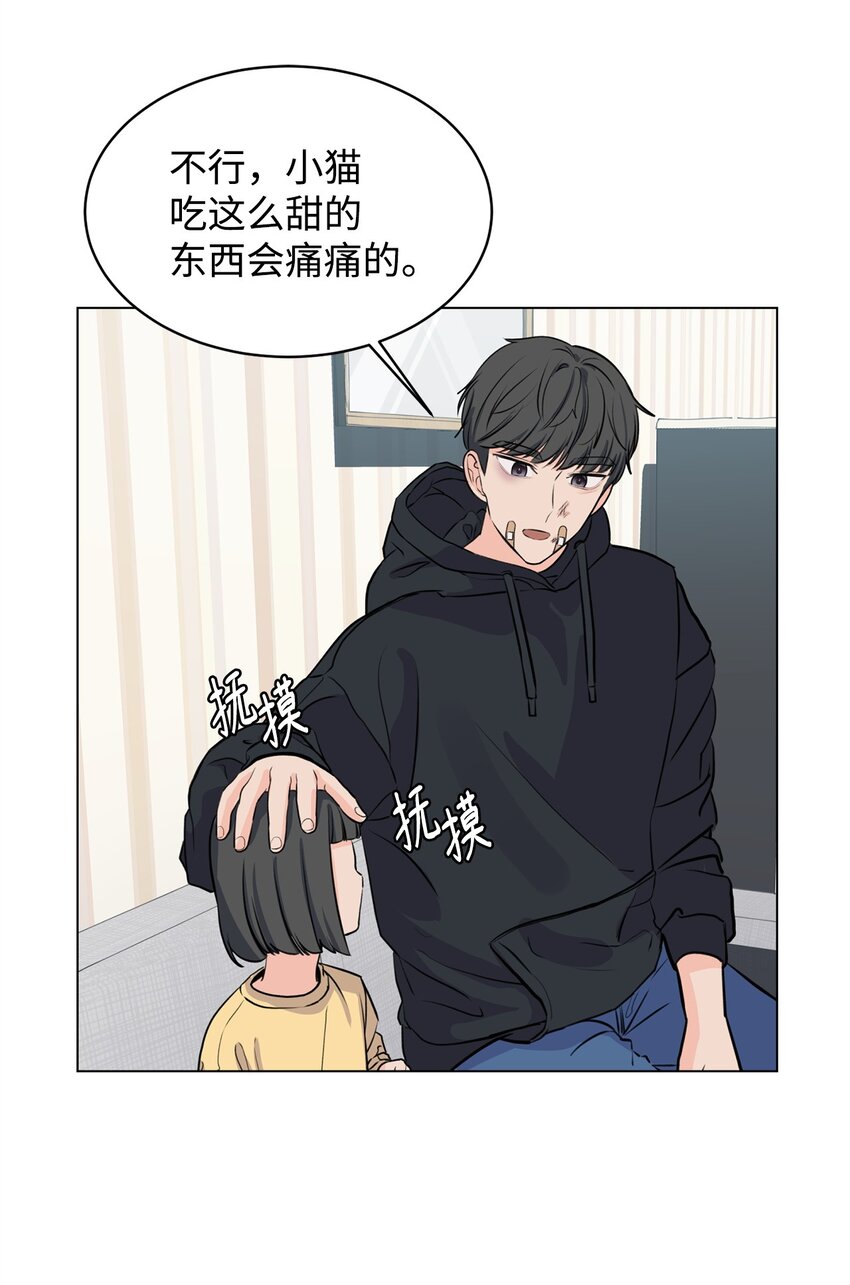 《做我的铲屎官吧!》06 受伤的真相 第27页