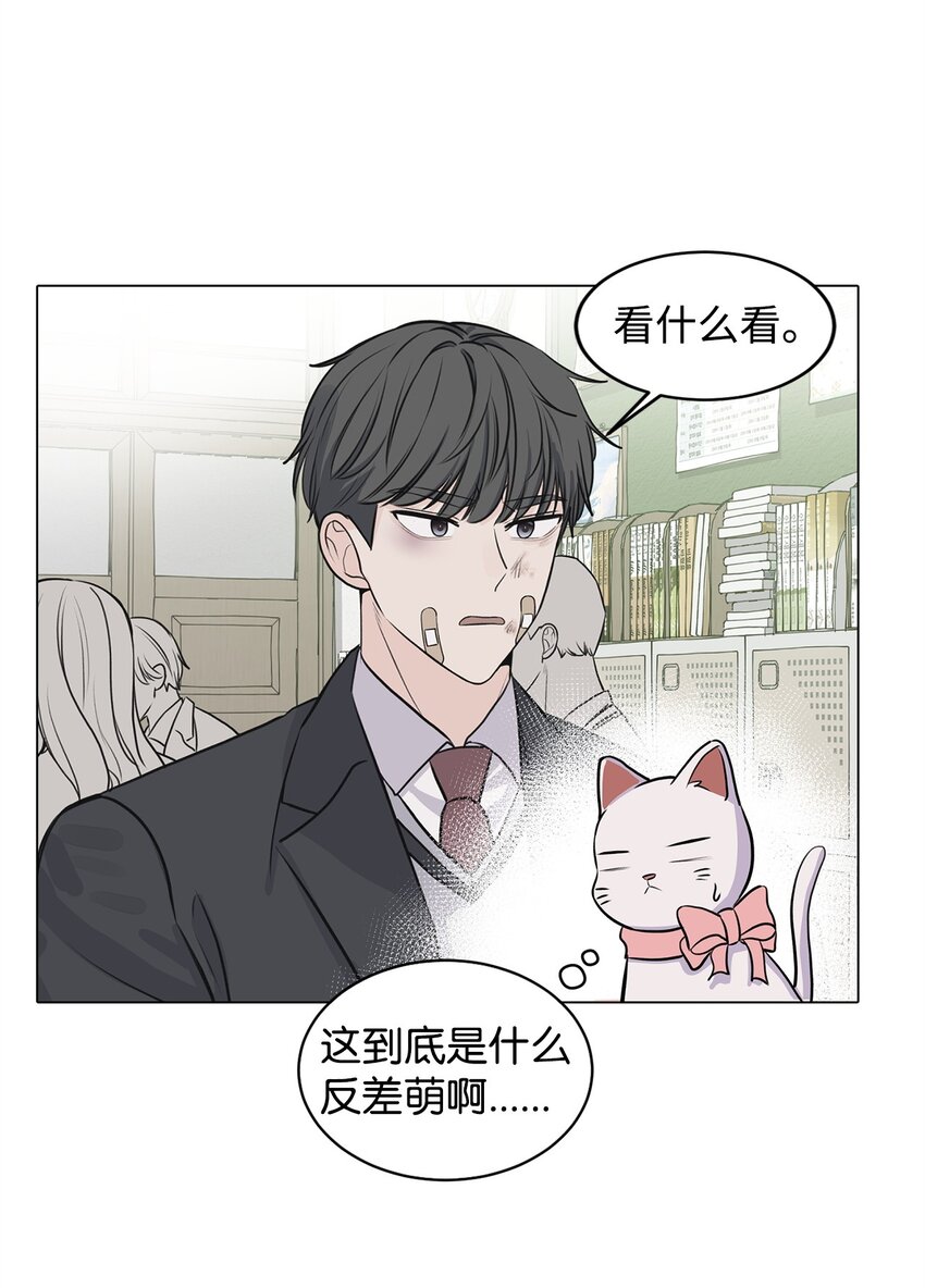《做我的铲屎官吧!》06 受伤的真相 第30页