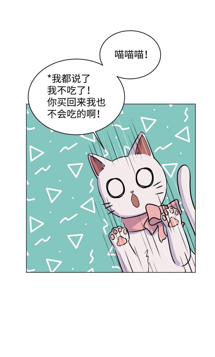 《做我的铲屎官吧!》06 受伤的真相 第45页