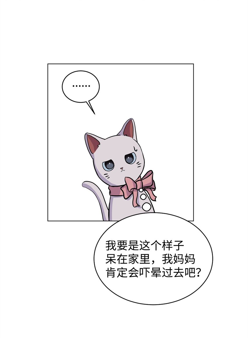 《做我的铲屎官吧!》06 受伤的真相 第6页
