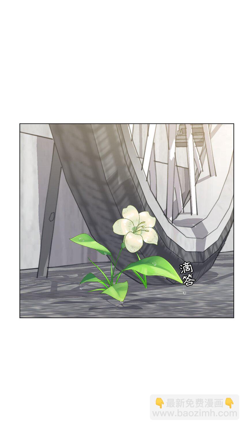 《做我的铲屎官吧!》07 喵喵精灵 第37页