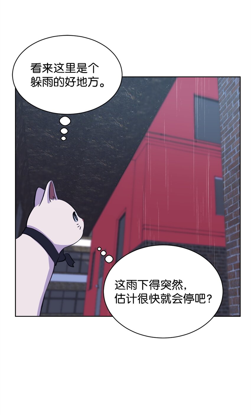 《做我的铲屎官吧!》19 撞见哥哥干坏事 第15页