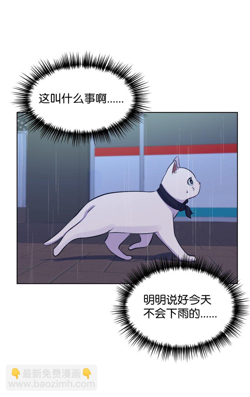《做我的铲屎官吧!》19 撞见哥哥干坏事 第5页