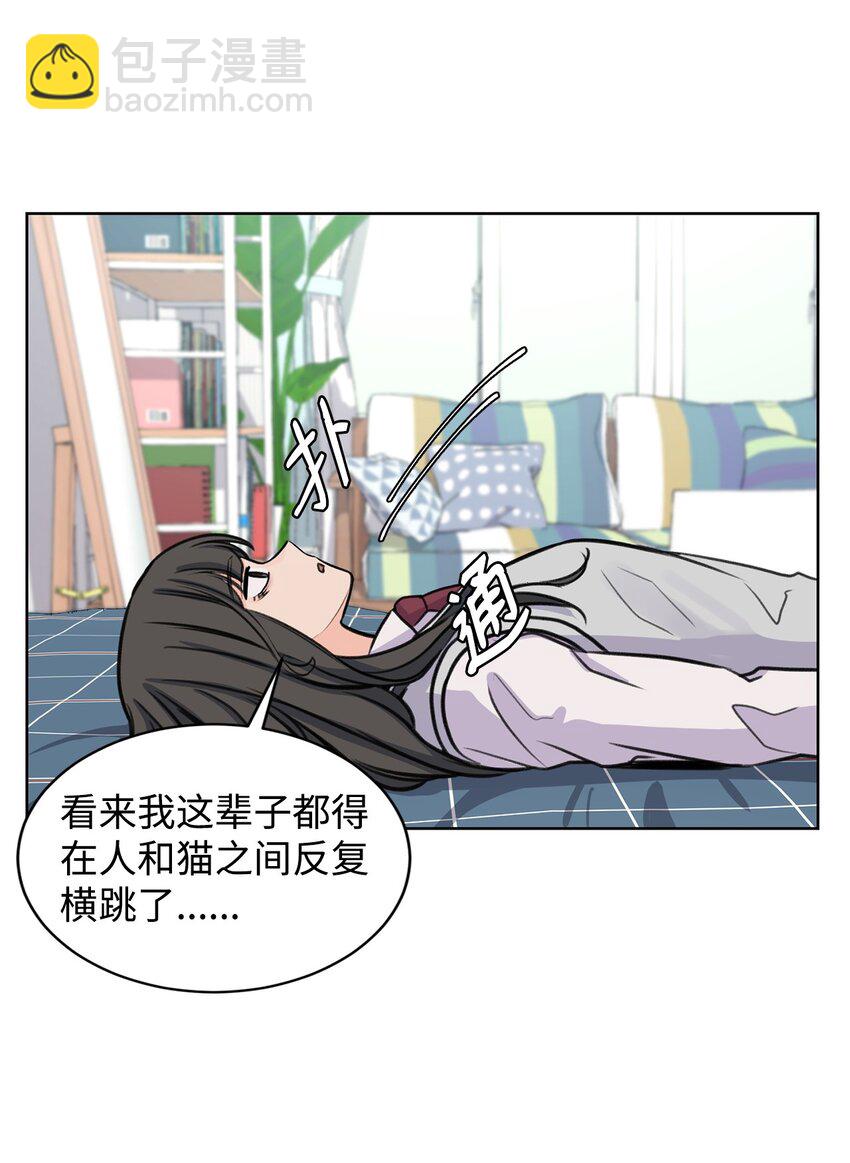 《做我的铲屎官吧!》17 恋爱专家 第37页