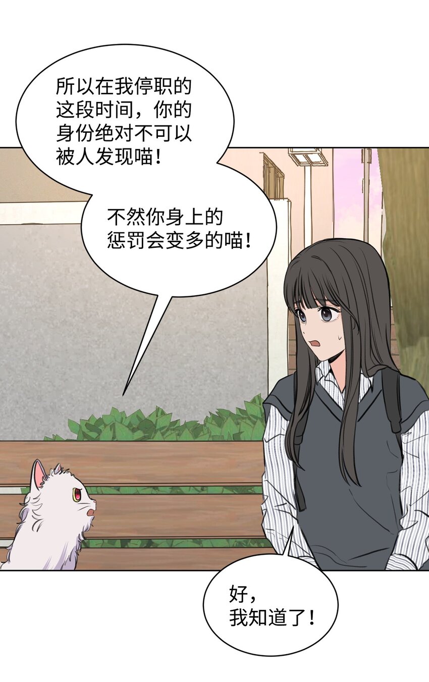 《做我的铲屎官吧!》26 哥哥的手环 第13页