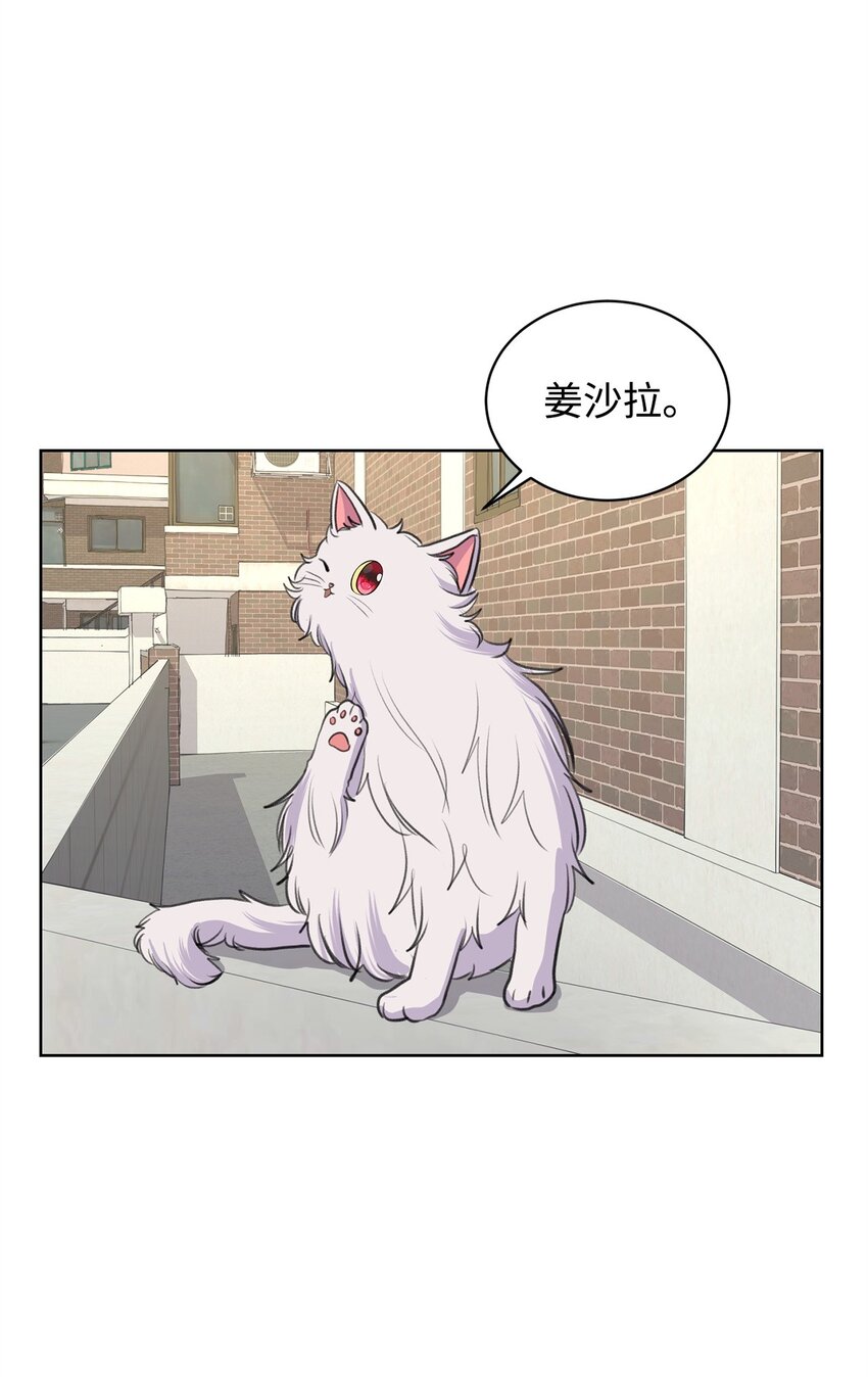 《做我的铲屎官吧!》26 哥哥的手环 第1页