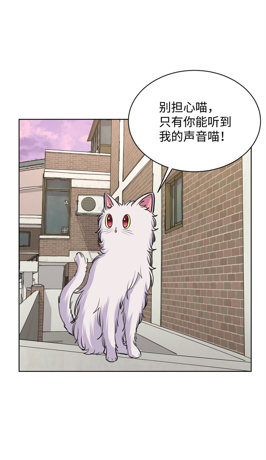 《做我的铲屎官吧!》26 哥哥的手环 第4页