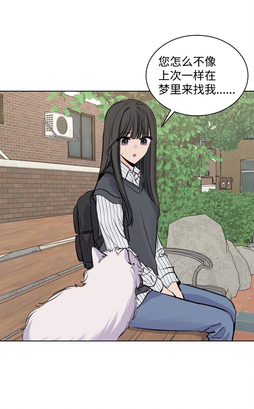 《做我的铲屎官吧!》26 哥哥的手环 第11页