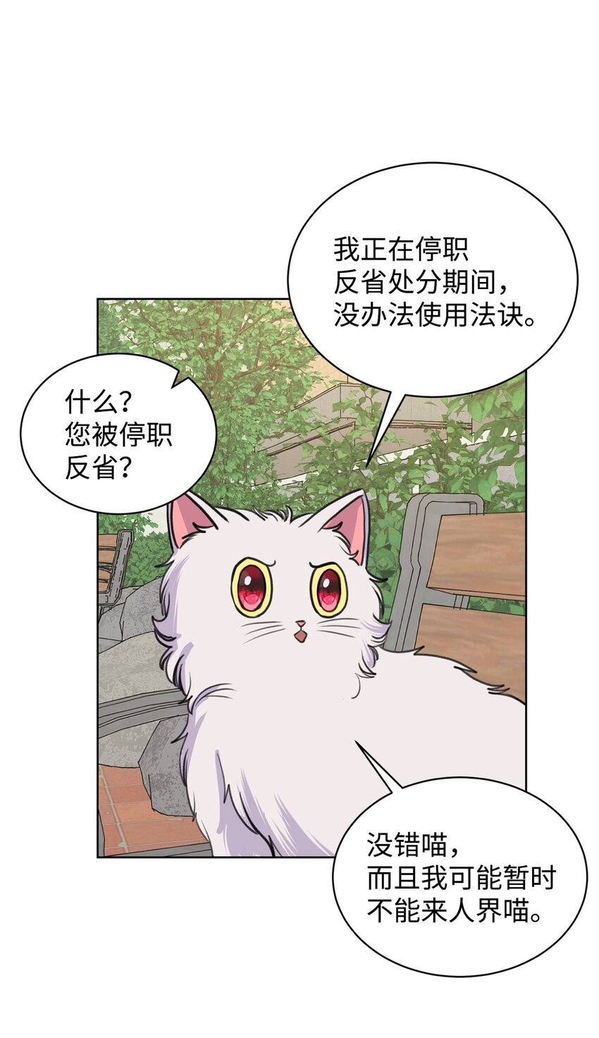 《做我的铲屎官吧!》26 哥哥的手环 第12页